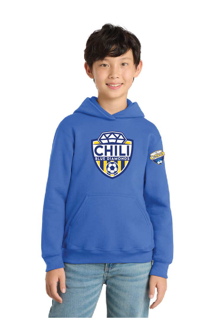 Youth Core Fleece Pullover Hooded Sweatshirt