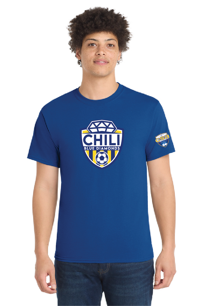 ADULT- Core blend Tee