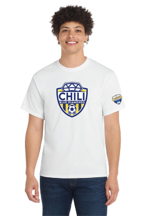 ADULT- Core blend Tee